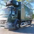 DAF LF230