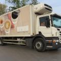 SCANIA P230